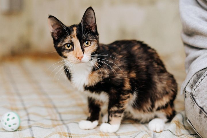 Фото из сети Интернет