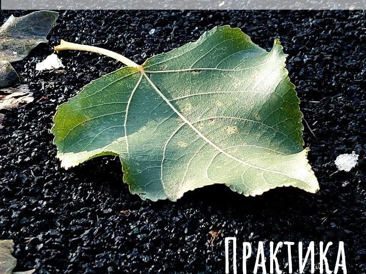 Арт-практика"Цветок отношений"