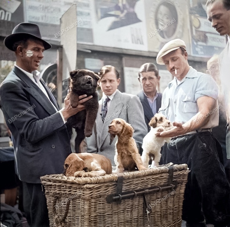 Фотограф: Walter Joseph.