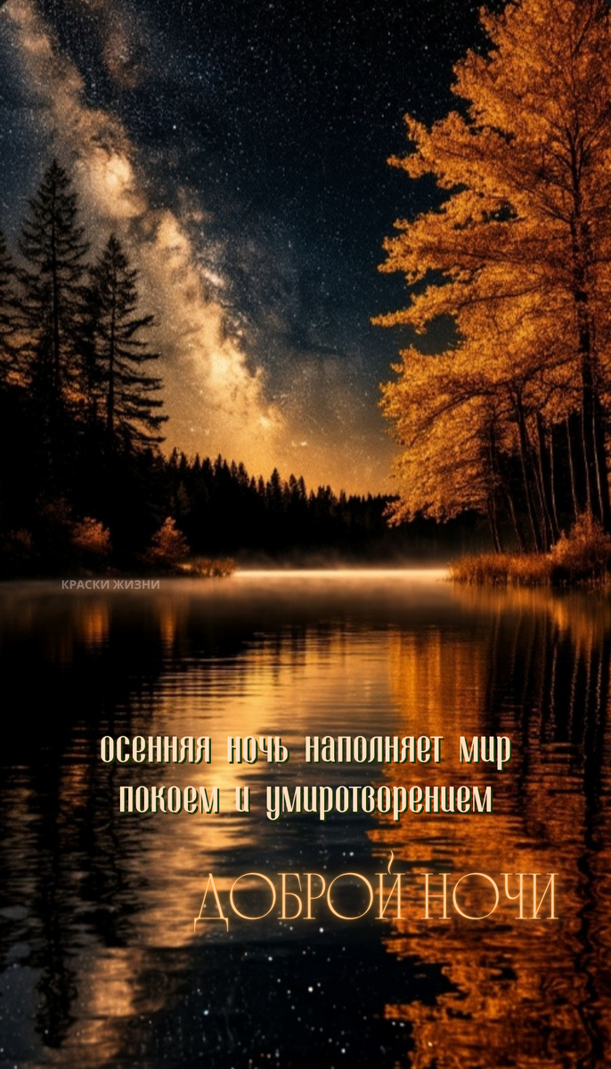 Доброй ночи 