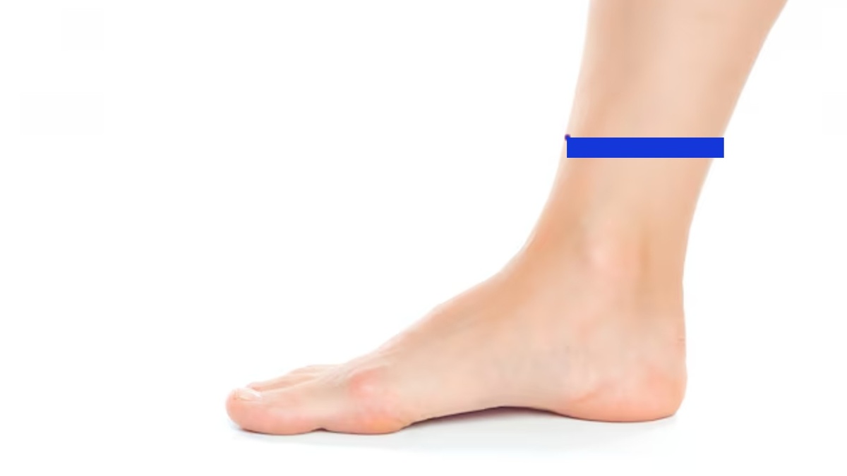 Окружность по ноге, где будет резинка.