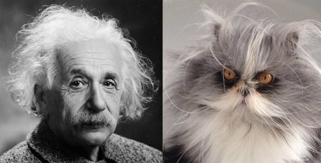 источник Яндекс-картинки