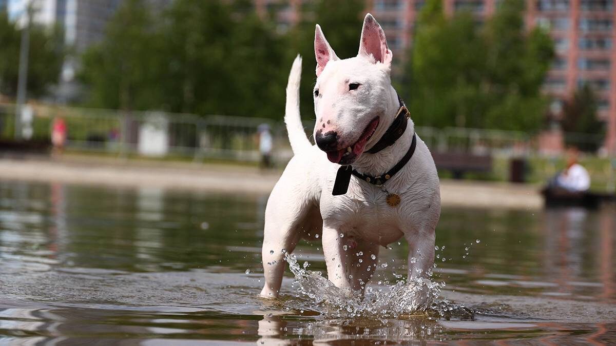    Фото: Ярослав Чингаев / АГН Москва