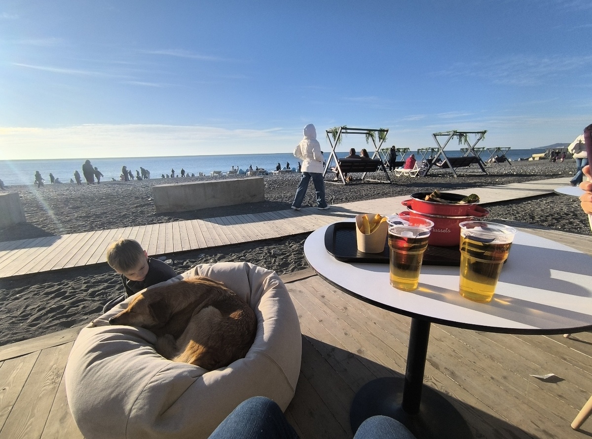 11 января берег моря