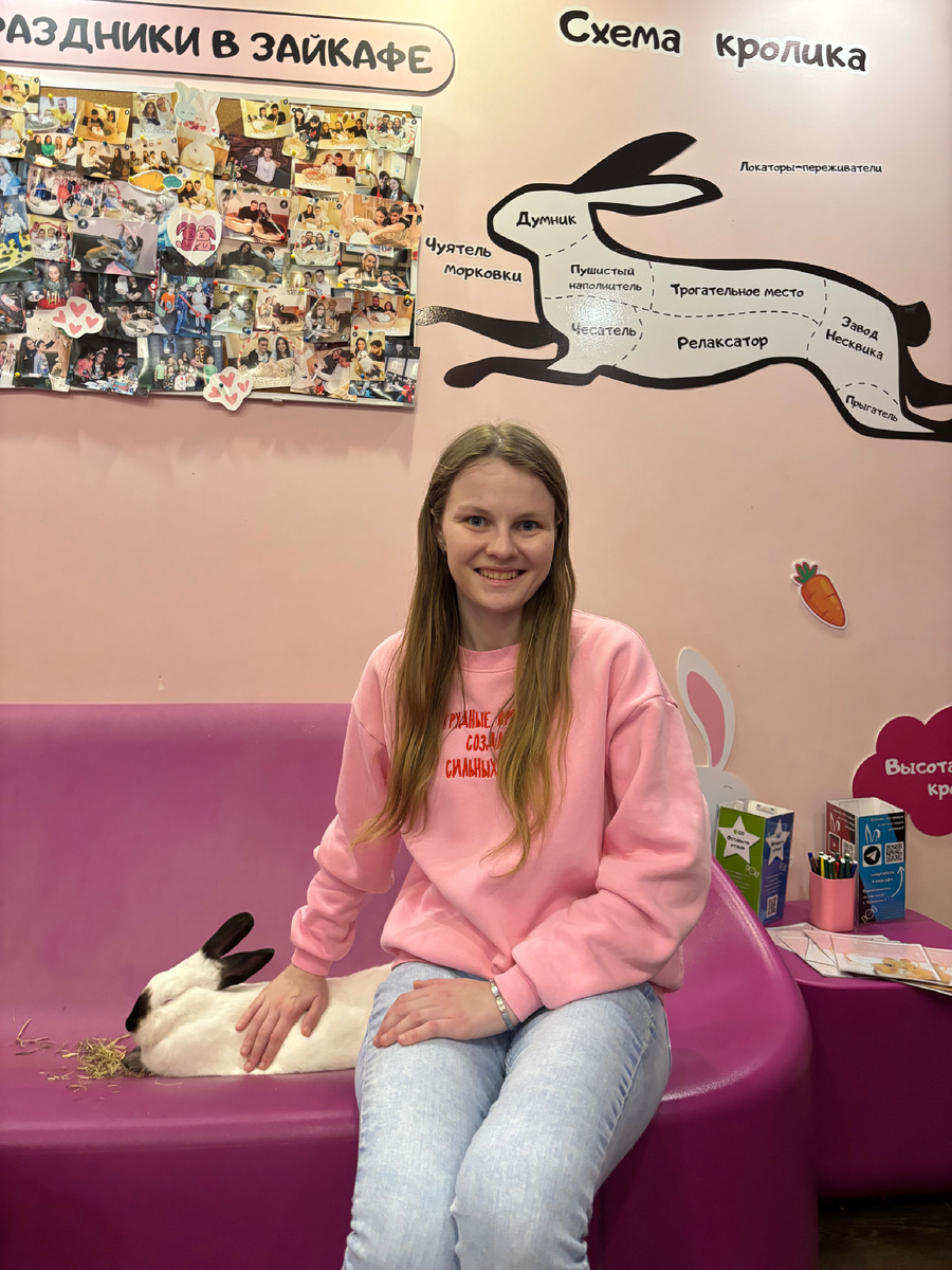 В Зайкафе. Там живут чудесные зайцы, которых спасли их опасных условий. 