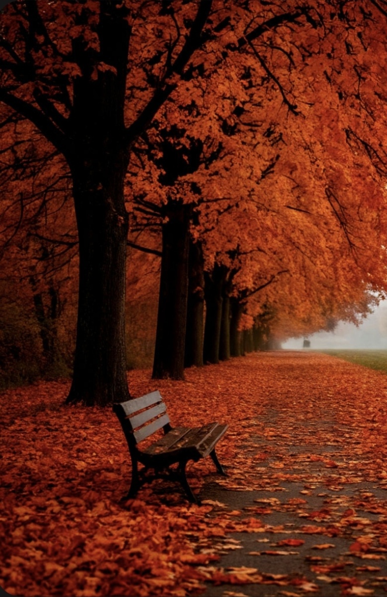 Фото автора  и нейросети 