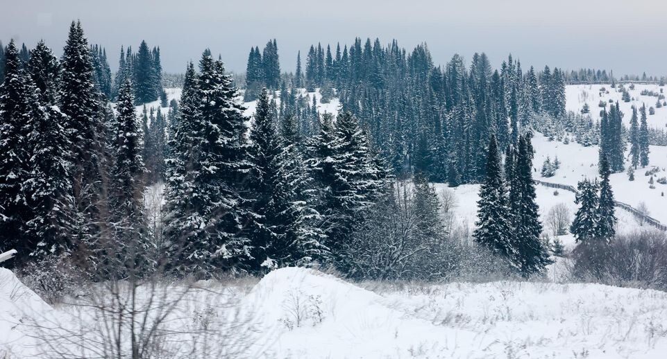    Elena Mayorova/Global Look Press / www.globallookpress.com