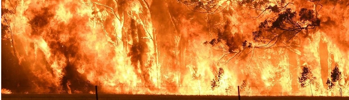 Если у вас в душе пожар - зовите меня. Сайт - bondin.su