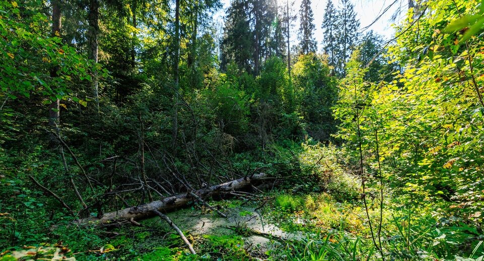    Медиасток.рф