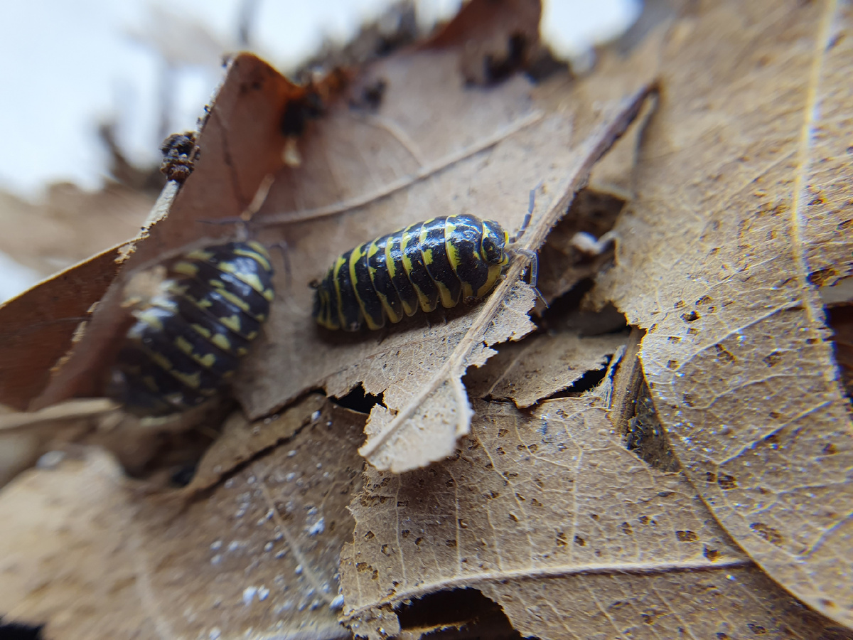 Фотографии из личных старых архивов. Сейчас о таких видах только мечтать остаётся:)
