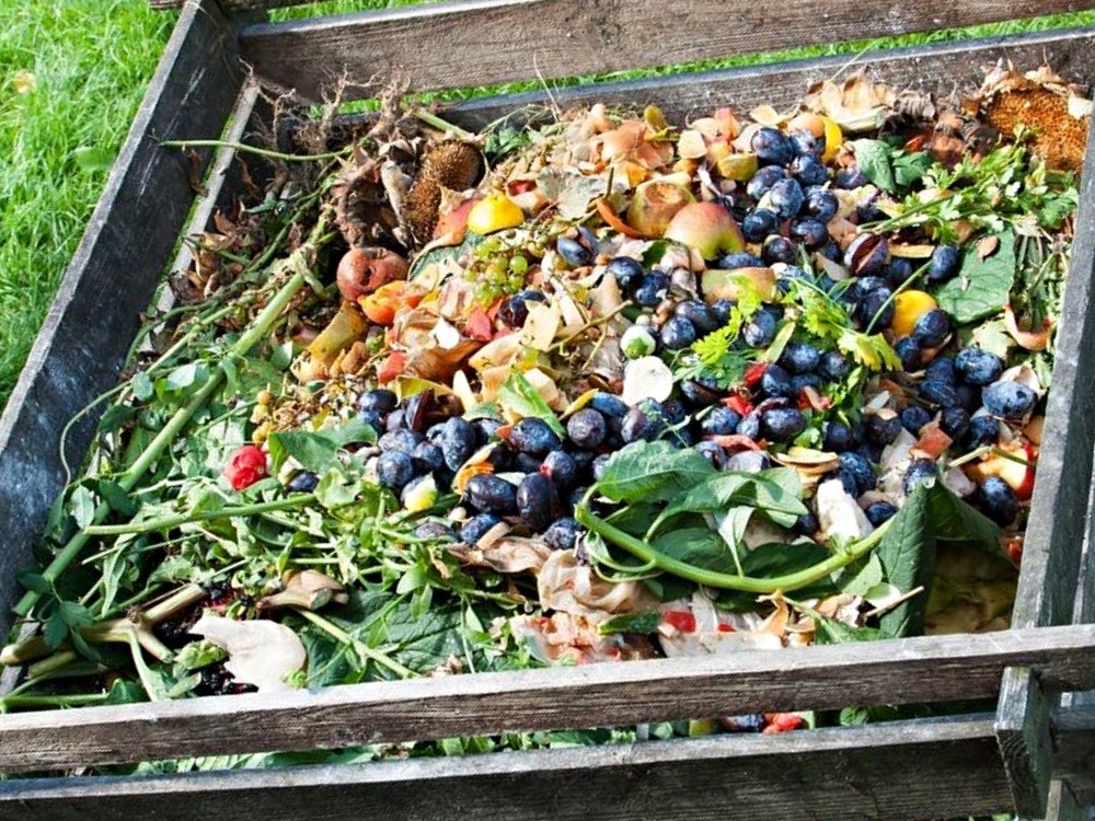 Компостная куча