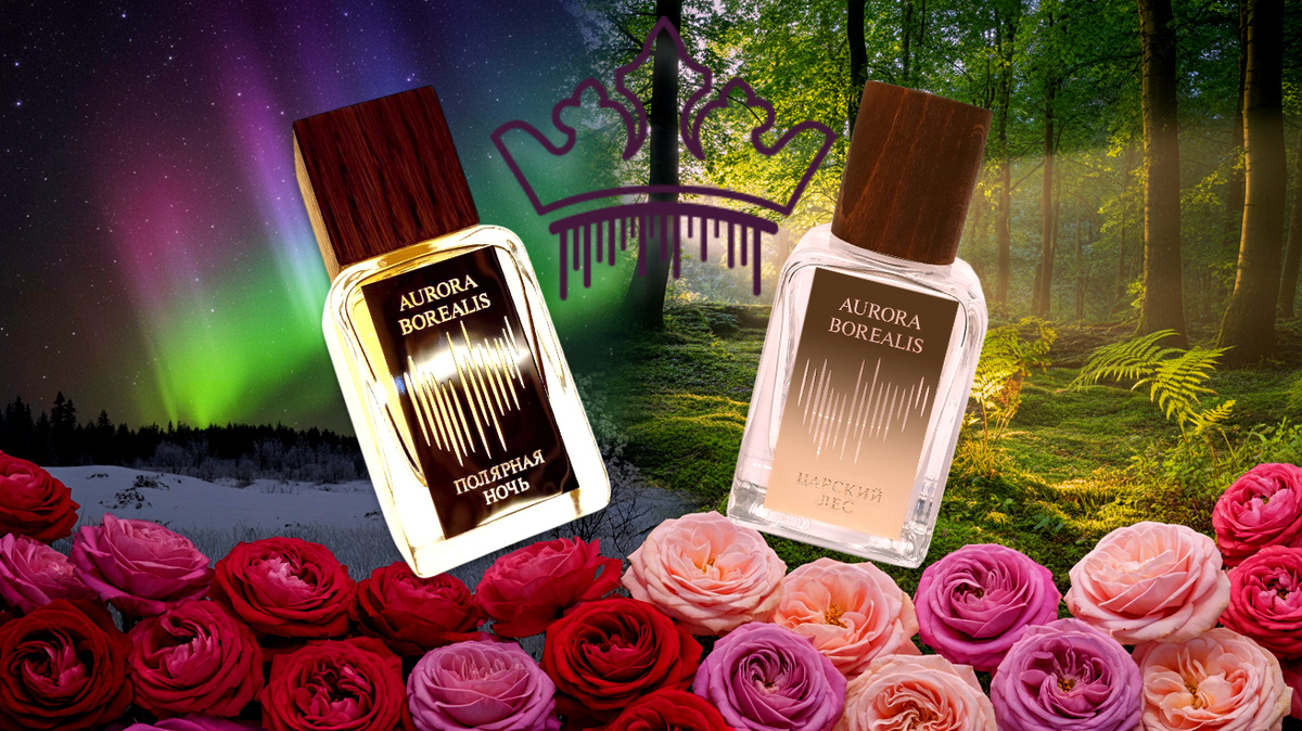 Полярная Ночь и Царский Лес — Aurora Borealis