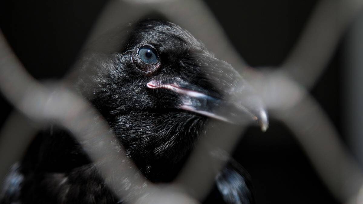    Фото: Артур Новосильцев / АГН Москва