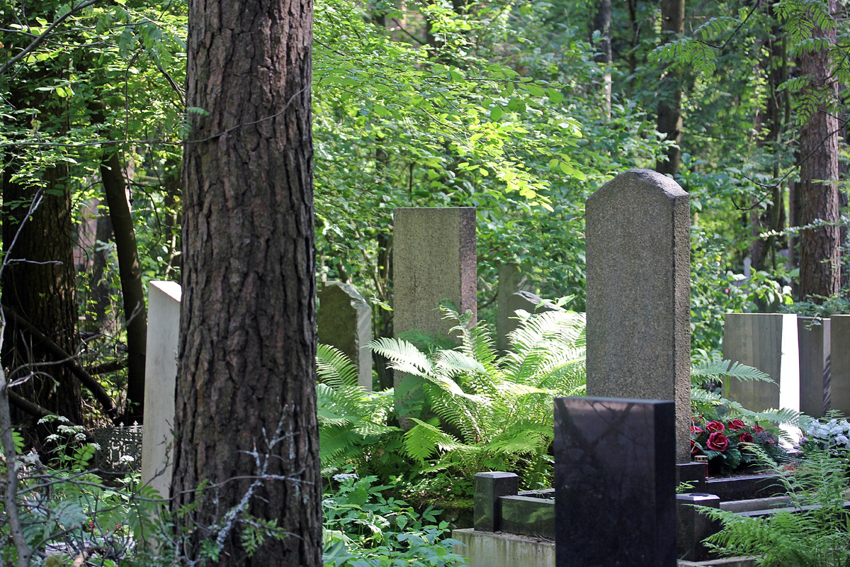 Безликие надгробия Северного кладбища