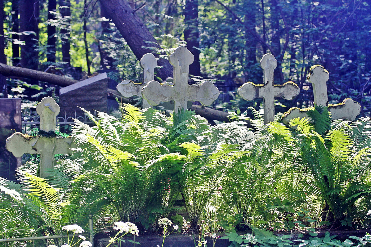 Северное кладбище