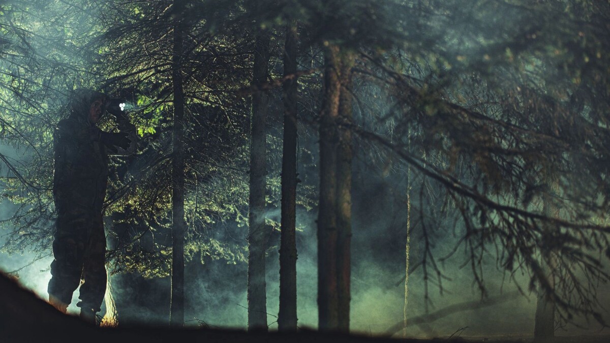    Фото: Virrage Images/Shutterstock/Fotodom