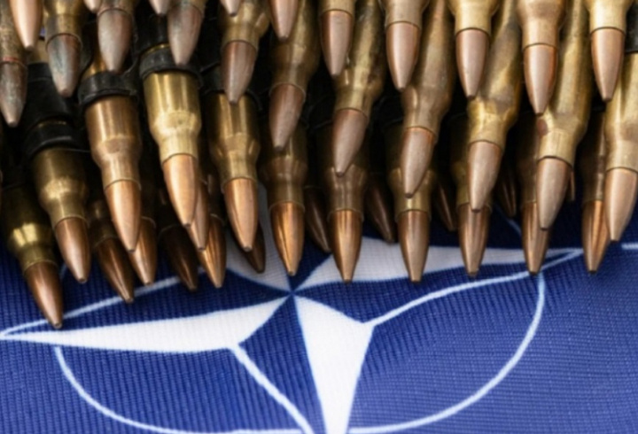 фото: pxhere.com