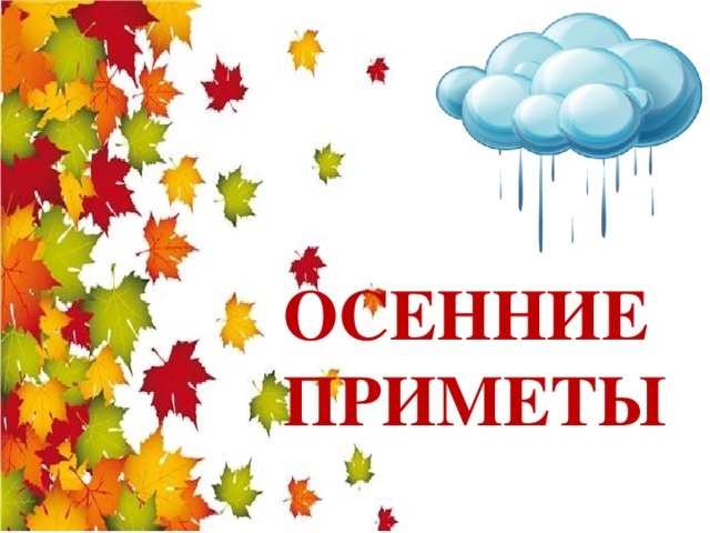 Яндекс Открытый источник 