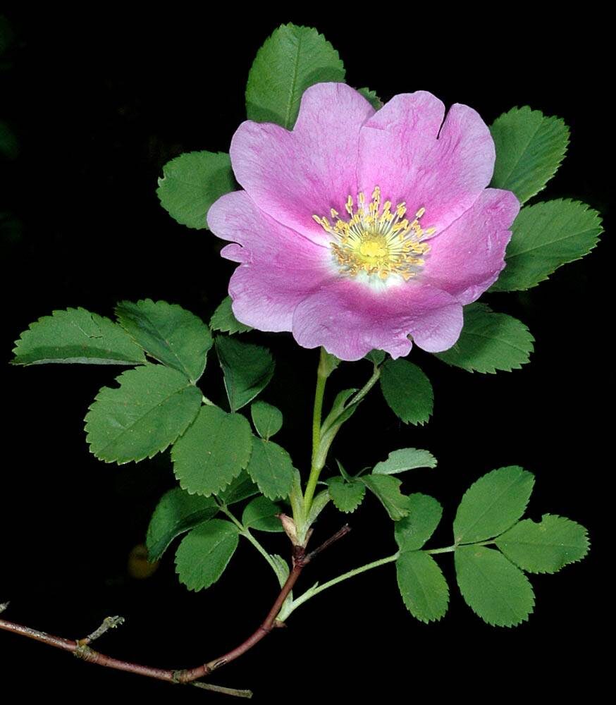 Фото Джеральда Д. Карра