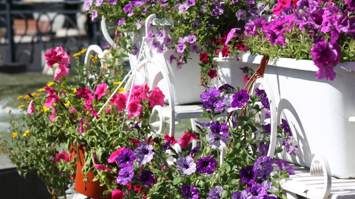 Фото: ИА «Тульская пресса»📷
