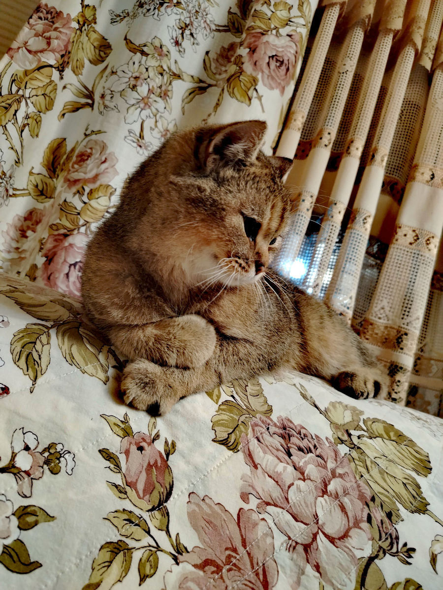 Тебе жалко, что ли, хозяйка? Не знал, не знал, что жадина. Разочаровала ты меня. 