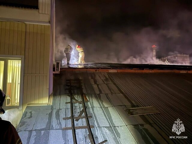    Фото: телеграм-канал "МЧС Липецкой области"