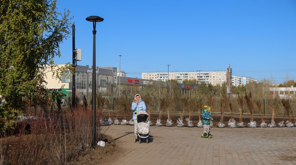    Финал благоустройства парка на улице Шумакова, 9 в Барнауле. Октябрь 2025 года. Источник: Виталий Барабаш/"Толк"