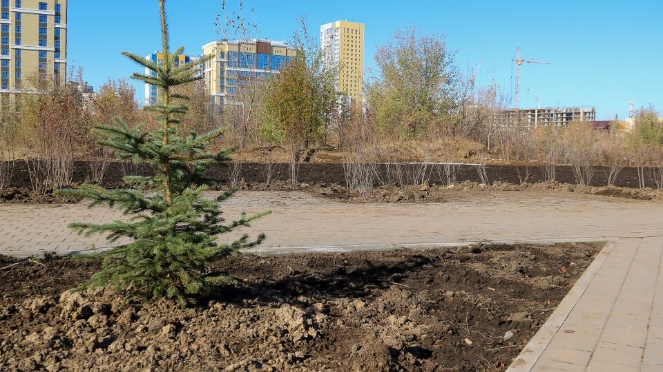    Финал благоустройства парка на улице Шумакова, 9 в Барнауле. Октябрь 2025 года. Источник: Виталий Барабаш/"Толк"