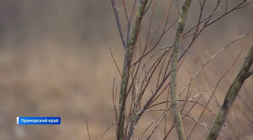    Источник фото: