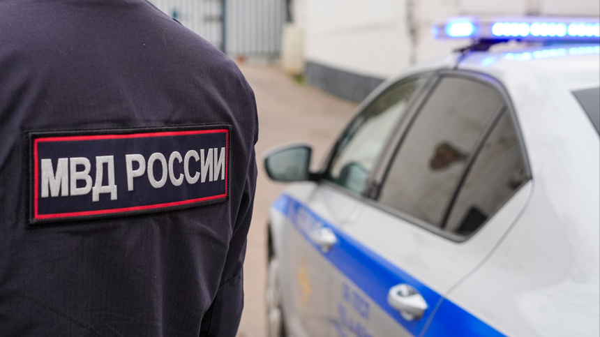    Фото: ИЗВЕСТИЯ/Сергей Лантюхов; 5-tv.ru