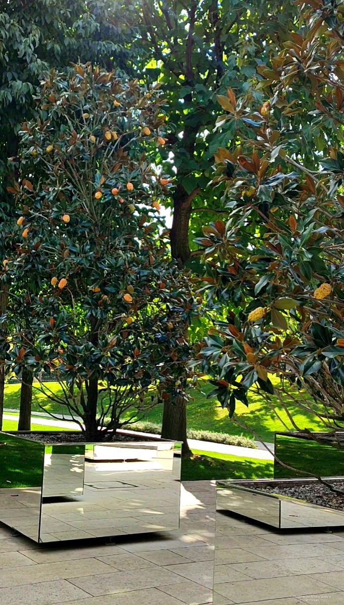 🌿💚🌿💚🌿💚🌿