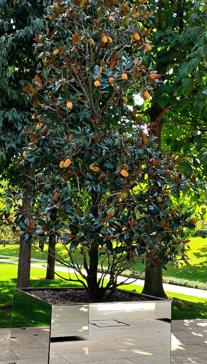 🌿💚🌿💚🌿💚🌿