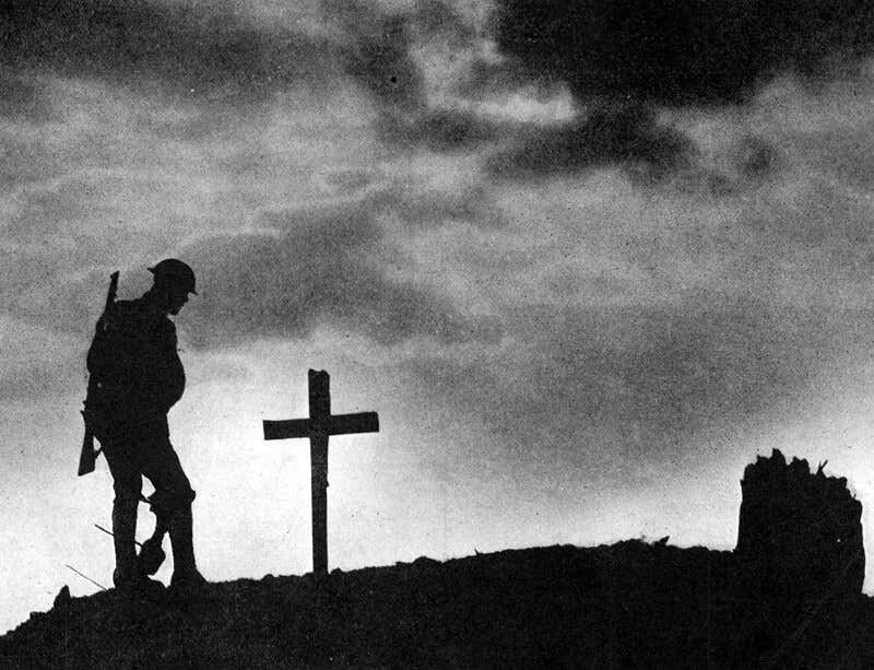 Изображение взято из открытых источников интернета. 