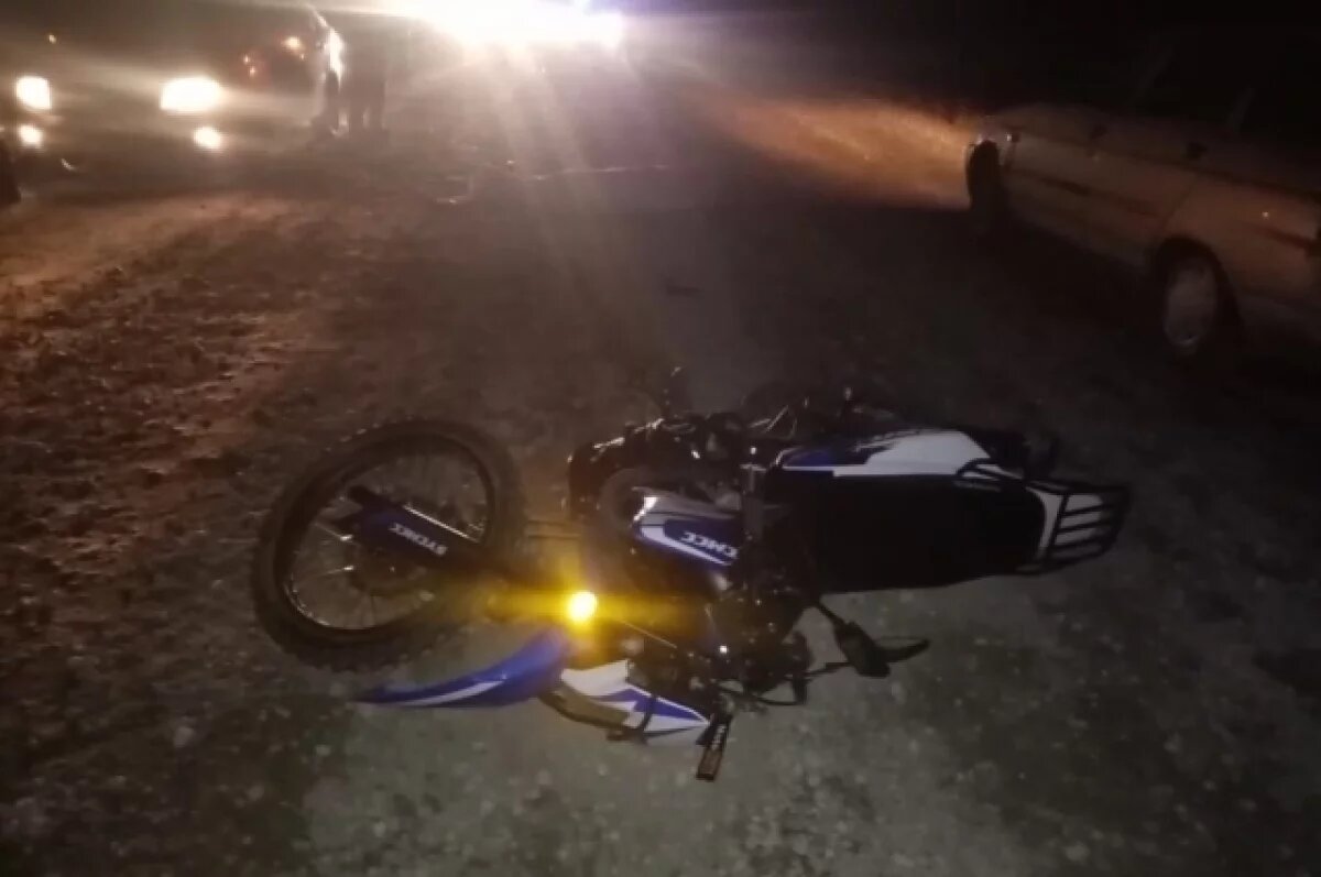    Гужевая повозка насмерть сбила 16-летнего мотоциклиста под Новосибирском