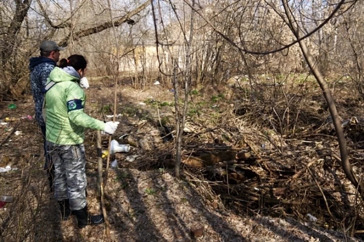    В Пермском крае ищут застрявшего в болоте мужчину