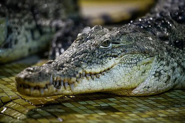    Фото: lenta.ru Полина Белоусова