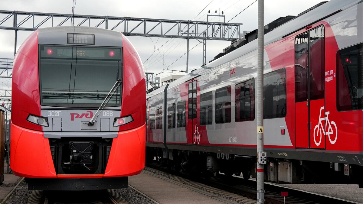    Фото: ИЗВЕСТИЯ/Дмитрий Коротаев