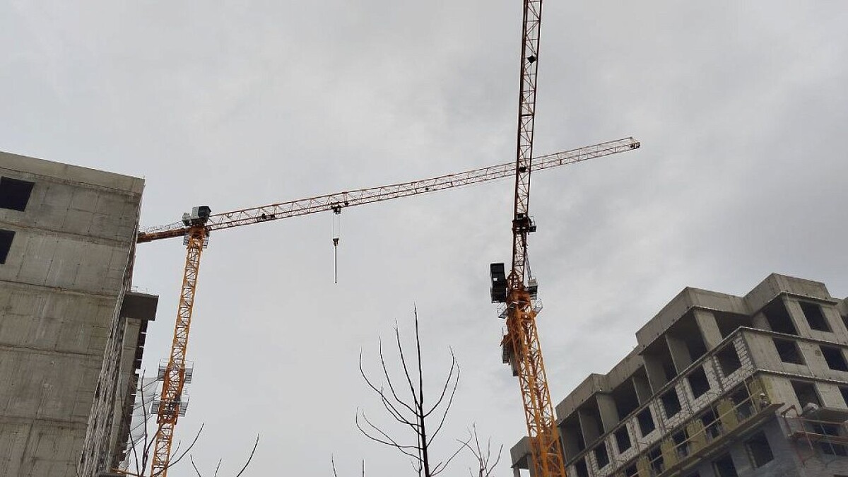    Фото: телеканал «Краснодар»