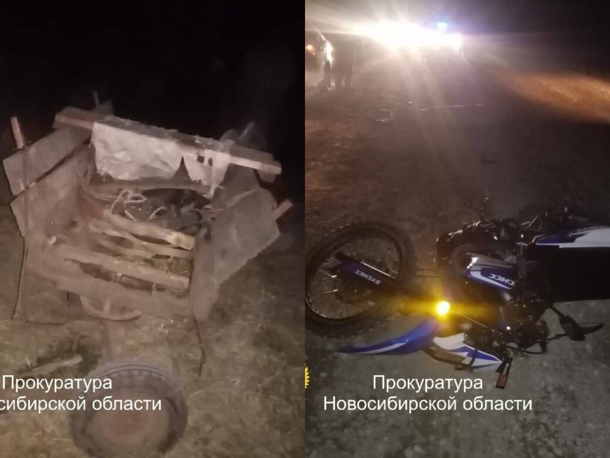    Фото: прокуратура НСО