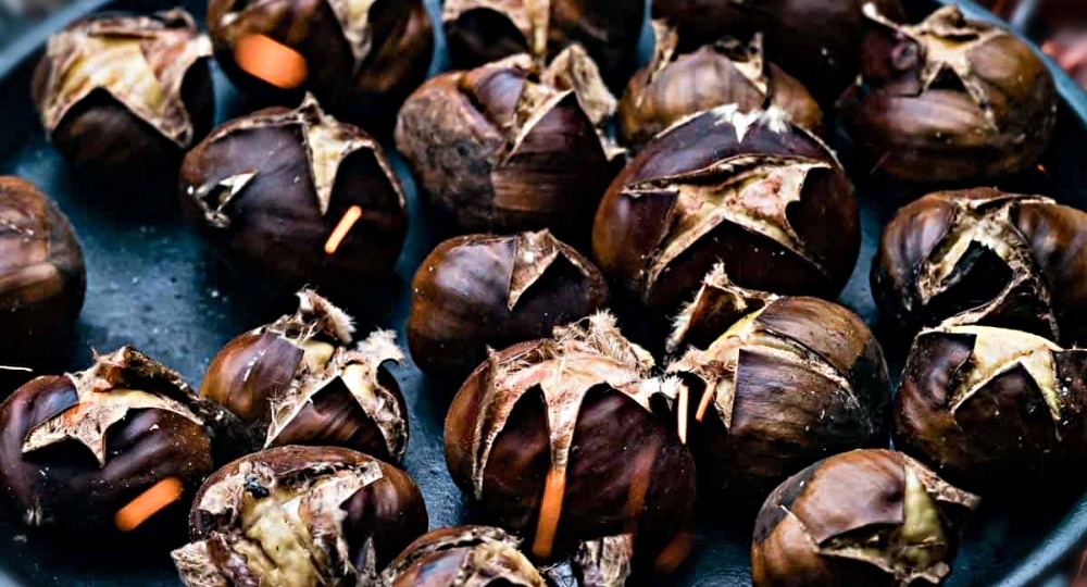 Собираю каштаны на даче: как отличить съедобные от ядовитых и вкусно приготовить