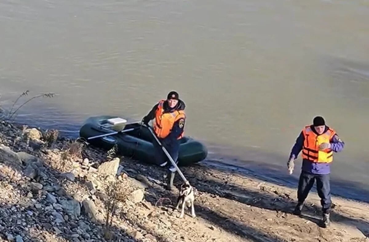    В ЕАО спасли собаку, застрявшую на острове