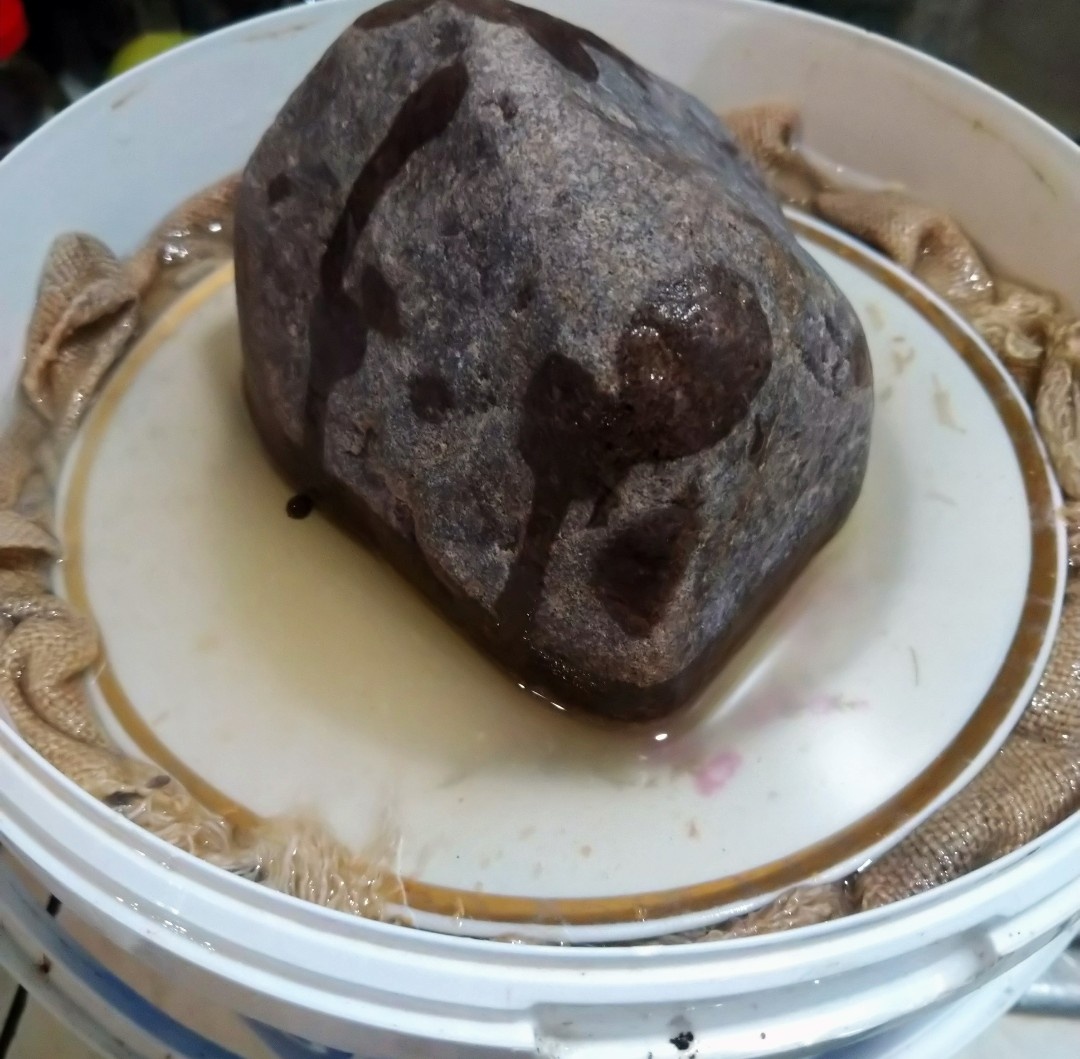 Гнёт из тарелки и камня на грибах