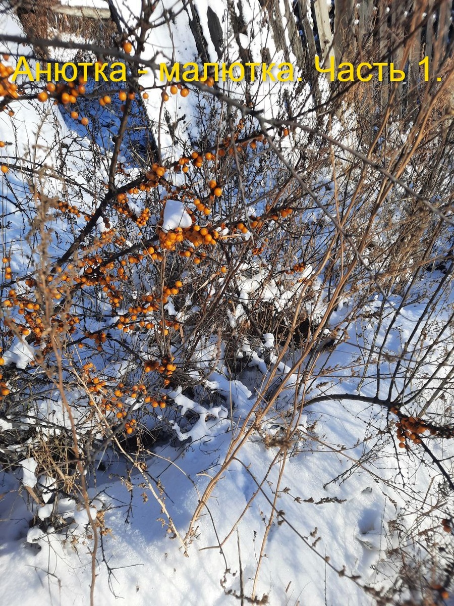 Фото автора.