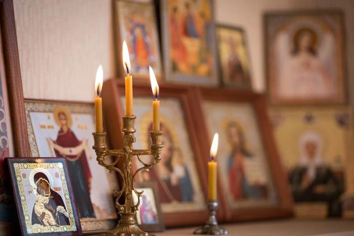 Обложка © Shutterstock / FOTODOM / Tiplyashina Evgeniya