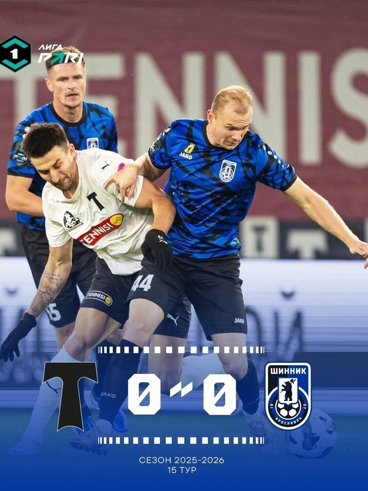     фото Шинник