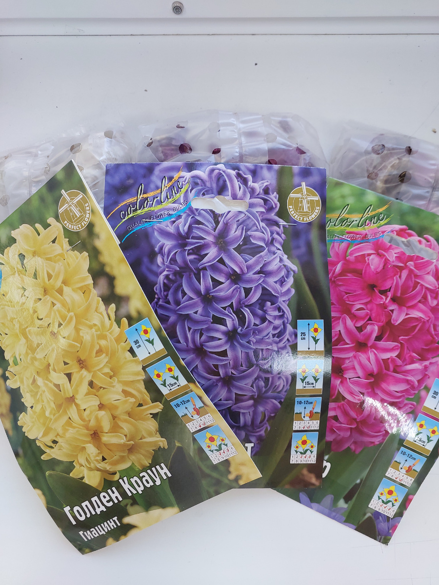 Фото Упаковок гиацинтов. Автор Ольга Прокудина