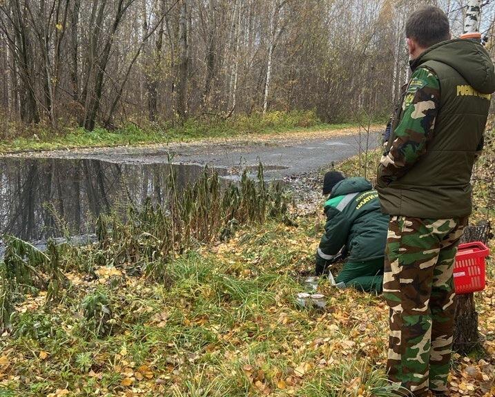    фото управления Росприроднадзора