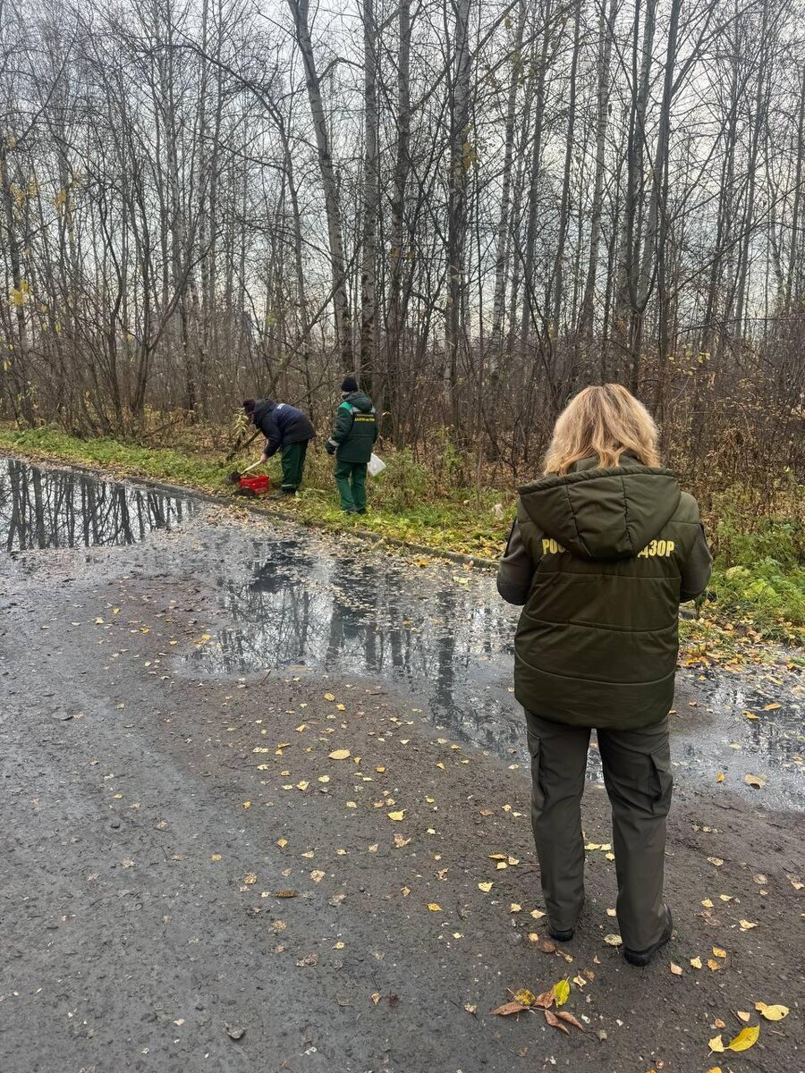    фото управления Росприроднадзора