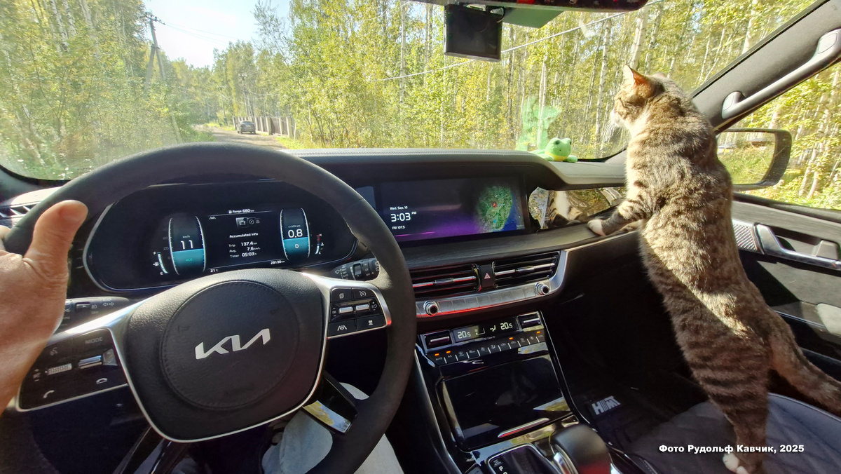 KIA Mohave 2022 Черный Мах, Premium Alcantare. Фото автора. 