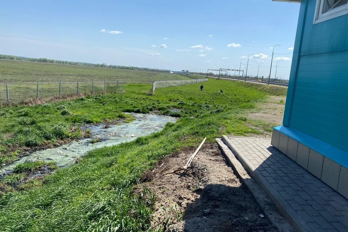    Фото: Центрально-Черноземное управление Росприроднадзора